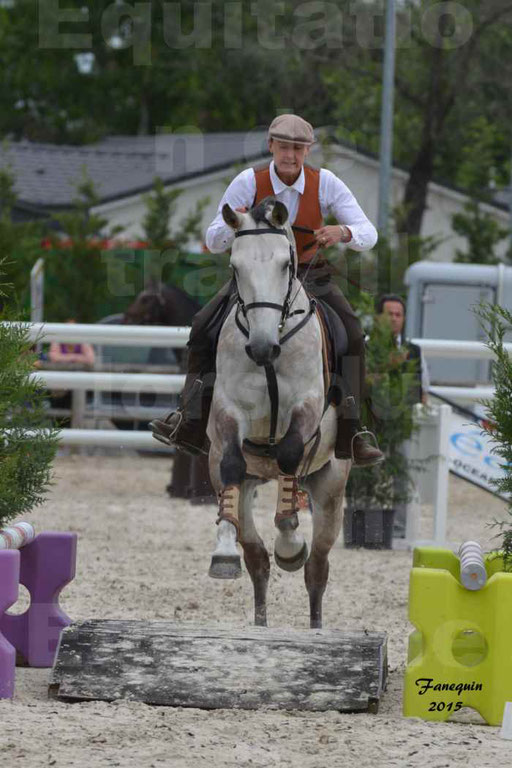 Salon Equitaine de Bordeaux 2015 - Concours d'Equitation de Travail avec chevaux Ibériques - Épreuves de Maniabilités Chronométré - 055