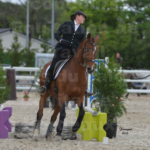 Salon Equitaine de Bordeaux 2015 - Concours d'Equitation de Travail avec chevaux Ibériques - Épreuves de Maniabilités Chronométré - 032
