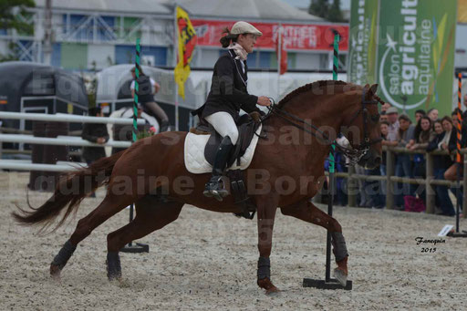 Salon Equitaine de Bordeaux 2015 - Concours d'Equitation de Travail avec chevaux Ibériques - Épreuves de Maniabilités Chronométré - 005