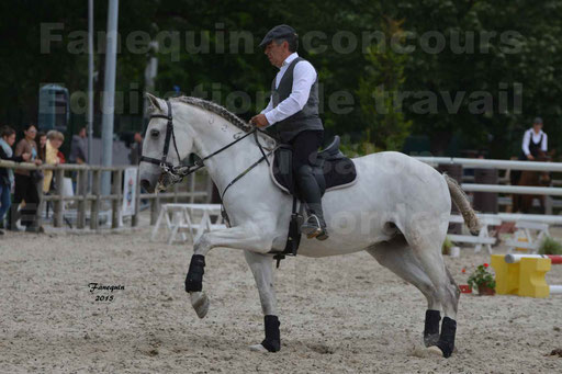Salon Equitaine de Bordeaux 2015 - Concours d'Equitation de Travail avec chevaux Ibériques - Épreuves de Maniabilités Chronométré - 154