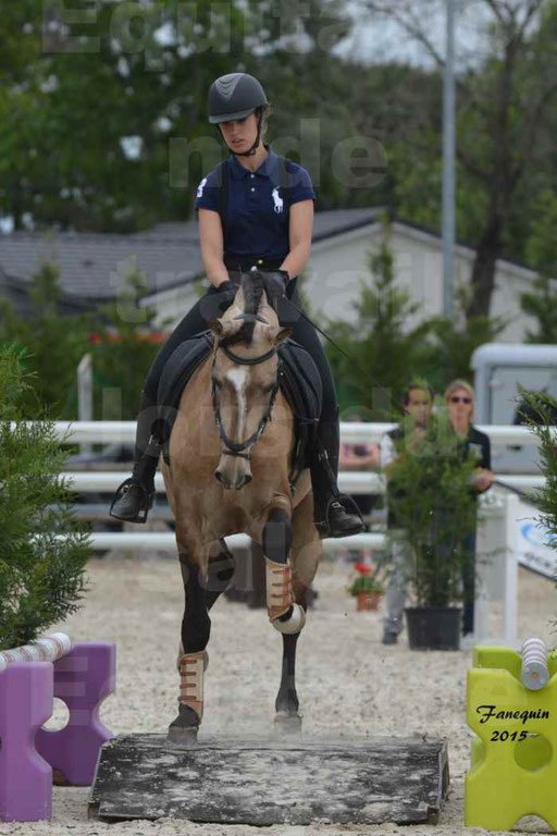 Salon Equitaine de Bordeaux 2015 - Concours d'Equitation de Travail avec chevaux Ibériques - Épreuves de Maniabilités Chronométré - 104