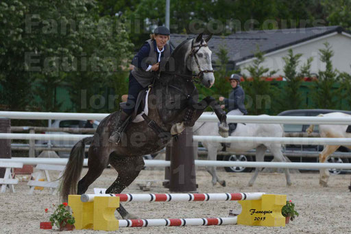 Salon Equitaine de Bordeaux 2015 - Concours d'Equitation de Travail avec chevaux Ibériques - Épreuves de Maniabilités Chronométré - 088