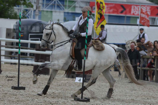 Salon Equitaine de Bordeaux 2015 - Concours d'Equitation de Travail avec chevaux Ibériques - Épreuves de Maniabilités Chronométré - 143