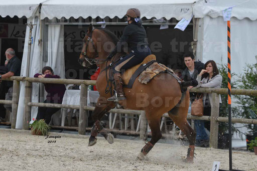Salon Equitaine de Bordeaux 2015 - Concours d'Equitation de Travail avec chevaux Ibériques - Épreuves de Maniabilités Chronométré - 041
