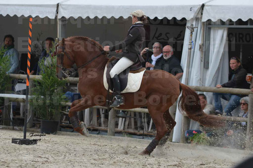 Salon Equitaine de Bordeaux 2015 - Concours d'Equitation de Travail avec chevaux Ibériques - Épreuves de Maniabilités Chronométré - 001