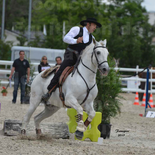 Salon Equitaine de Bordeaux 2015 - Concours d'Equitation de Travail avec chevaux Ibériques - Épreuves de Maniabilités Chronométré - 071