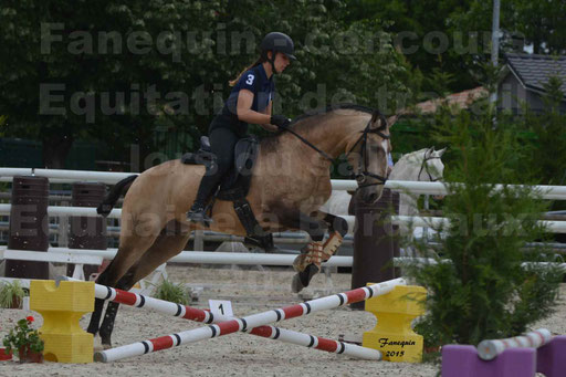 Salon Equitaine de Bordeaux 2015 - Concours d'Equitation de Travail avec chevaux Ibériques - Épreuves de Maniabilités Chronométré - 100