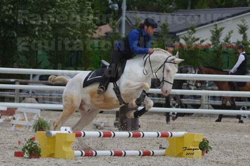 Salon Equitaine de Bordeaux 2015 - Concours d'Equitation de Travail avec chevaux Ibériques - Épreuves de Maniabilités Chronométré - 008