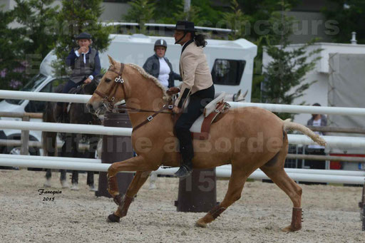 Salon Equitaine de Bordeaux 2015 - Concours d'Equitation de Travail avec chevaux Ibériques - Épreuves de Maniabilités Chronométré - 125