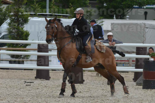 Salon Equitaine de Bordeaux 2015 - Concours d'Equitation de Travail avec chevaux Ibériques - Épreuves de Maniabilités Chronométré - 049