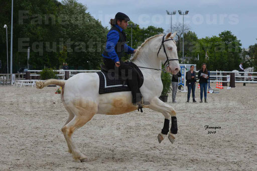 Salon Equitaine de Bordeaux 2015 - Concours d'Equitation de Travail avec chevaux Ibériques - Épreuves de Maniabilités Chronométré - 010