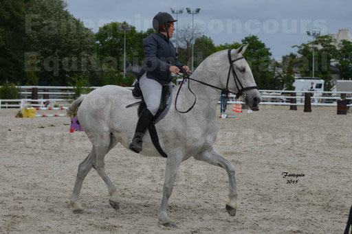 Salon Equitaine de Bordeaux 2015 - Concours d'Equitation de Travail avec chevaux Ibériques - Épreuves de Maniabilités Chronométré - 132