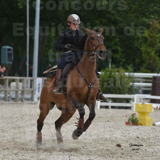 Salon Equitaine de Bordeaux 2015 - Concours d'Equitation de Travail avec chevaux Ibériques - Épreuves de Maniabilités Chronométré - 046