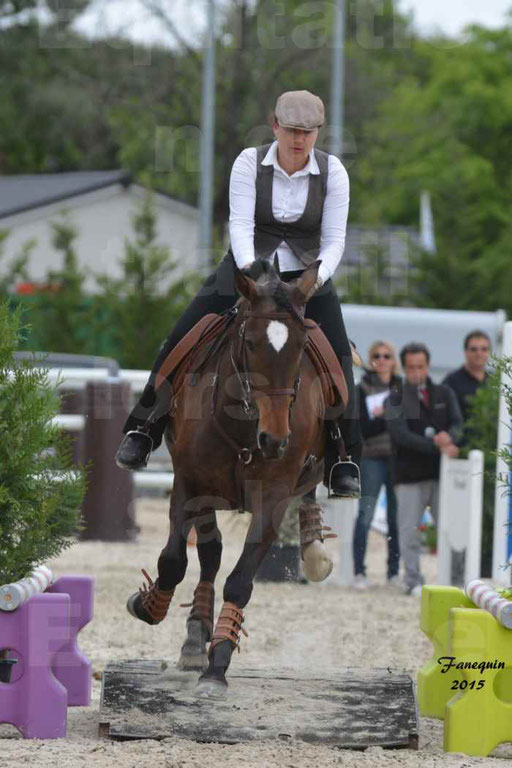 Salon Equitaine de Bordeaux 2015 - Concours d'Equitation de Travail avec chevaux Ibériques - Épreuves de Maniabilités Chronométré - 019