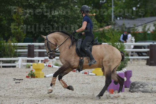 Salon Equitaine de Bordeaux 2015 - Concours d'Equitation de Travail avec chevaux Ibériques - Épreuves de Maniabilités Chronométré - 105