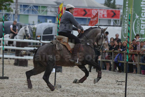 Salon Equitaine de Bordeaux 2015 - Concours d'Equitation de Travail avec chevaux Ibériques - Épreuves de Maniabilités Chronométré - 080