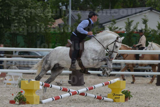 Salon Equitaine de Bordeaux 2015 - Concours d'Equitation de Travail avec chevaux Ibériques - Épreuves de Maniabilités Chronométré - 107
