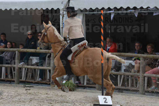 Salon Equitaine de Bordeaux 2015 - Concours d'Equitation de Travail avec chevaux Ibériques - Épreuves de Maniabilités Chronométré - 124