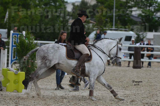 Salon Equitaine de Bordeaux 2015 - Concours d'Equitation de Travail avec chevaux Ibériques - Épreuves de Maniabilités Chronométré - 096