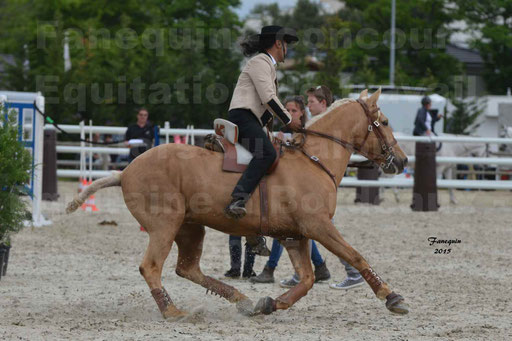 Salon Equitaine de Bordeaux 2015 - Concours d'Equitation de Travail avec chevaux Ibériques - Épreuves de Maniabilités Chronométré - 128