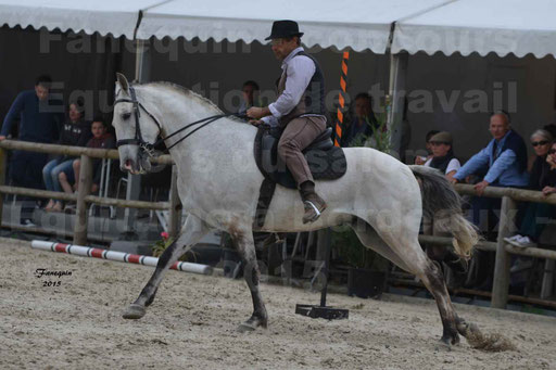Salon Equitaine de Bordeaux 2015 - Concours d'Equitation de Travail avec chevaux Ibériques - Épreuves de Maniabilités Chronométré - 086