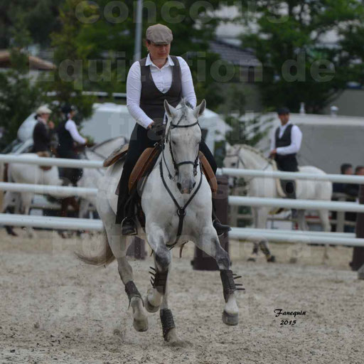 Salon Equitaine de Bordeaux 2015 - Concours d'Equitation de Travail avec chevaux Ibériques - Épreuves de Maniabilités Chronométré - 136