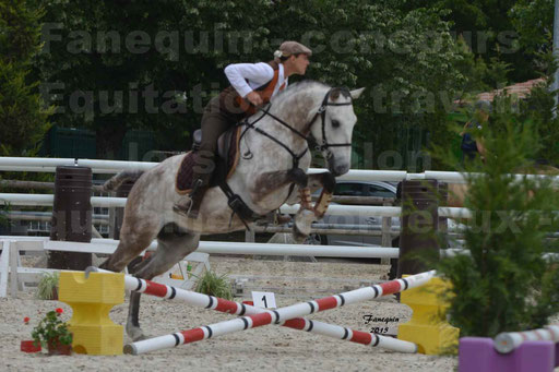 Salon Equitaine de Bordeaux 2015 - Concours d'Equitation de Travail avec chevaux Ibériques - Épreuves de Maniabilités Chronométré - 053