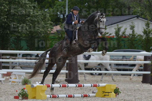 Salon Equitaine de Bordeaux 2015 - Concours d'Equitation de Travail avec chevaux Ibériques - Épreuves de Maniabilités Chronométré - 089