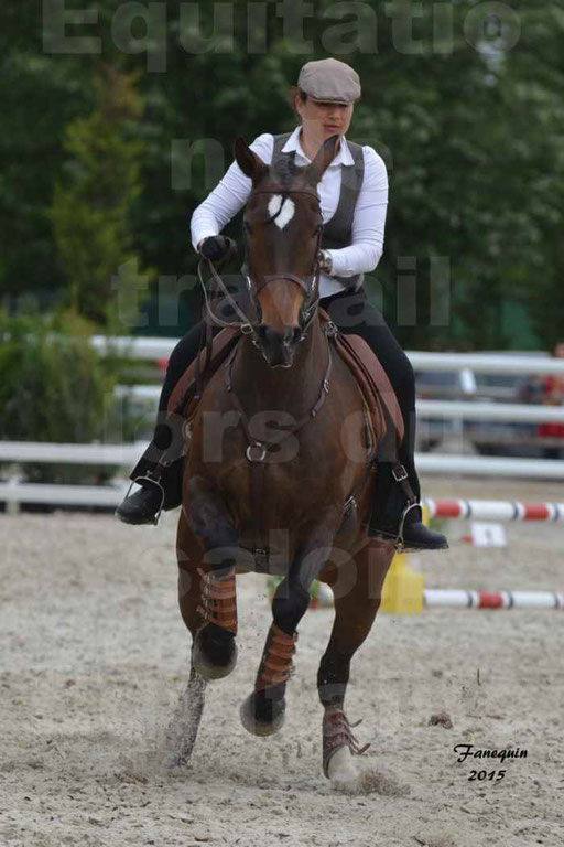Salon Equitaine de Bordeaux 2015 - Concours d'Equitation de Travail avec chevaux Ibériques - Épreuves de Maniabilités Chronométré - 017