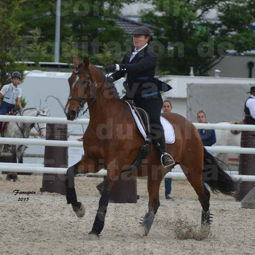 Salon Equitaine de Bordeaux 2015 - Concours d'Equitation de Travail avec chevaux Ibériques - Épreuves de Maniabilités Chronométré - 029