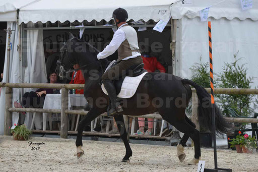 Salon Equitaine de Bordeaux 2015 - Concours d'Equitation de Travail avec chevaux Ibériques - Épreuves de Maniabilités Chronométré - 112