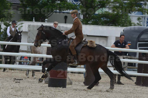 Salon Equitaine de Bordeaux 2015 - Concours d'Equitation de Travail avec chevaux Ibériques - Épreuves de Maniabilités Chronométré - 061