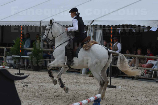 Salon Equitaine de Bordeaux 2015 - Concours d'Equitation de Travail avec chevaux Ibériques - Épreuves de Maniabilités Chronométré - 147
