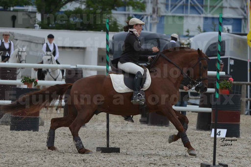 Salon Equitaine de Bordeaux 2015 - Concours d'Equitation de Travail avec chevaux Ibériques - Épreuves de Maniabilités Chronométré - 004