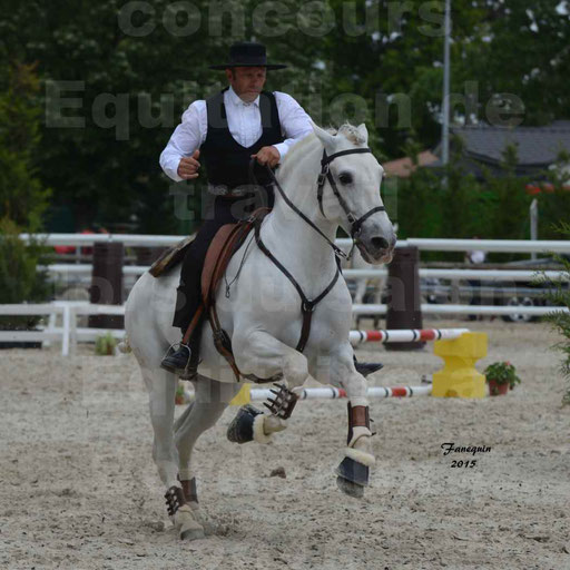 Salon Equitaine de Bordeaux 2015 - Concours d'Equitation de Travail avec chevaux Ibériques - Épreuves de Maniabilités Chronométré - 069
