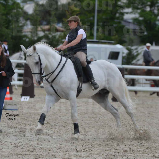 Salon Equitaine de Bordeaux 2015 - Concours d'Equitation de Travail avec chevaux Ibériques - Épreuves de Maniabilités Chronométré - 022