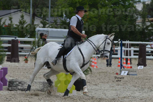 Salon Equitaine de Bordeaux 2015 - Concours d'Equitation de Travail avec chevaux Ibériques - Épreuves de Maniabilités Chronométré - 161