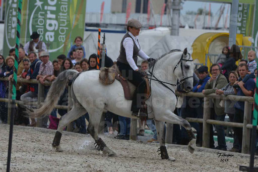 Salon Equitaine de Bordeaux 2015 - Concours d'Equitation de Travail avec chevaux Ibériques - Épreuves de Maniabilités Chronométré - 142