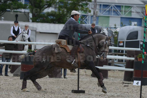 Salon Equitaine de Bordeaux 2015 - Concours d'Equitation de Travail avec chevaux Ibériques - Épreuves de Maniabilités Chronométré - 079