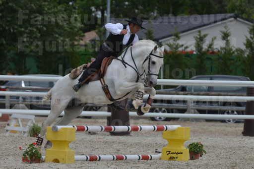 Salon Equitaine de Bordeaux 2015 - Concours d'Equitation de Travail avec chevaux Ibériques - Épreuves de Maniabilités Chronométré - 068