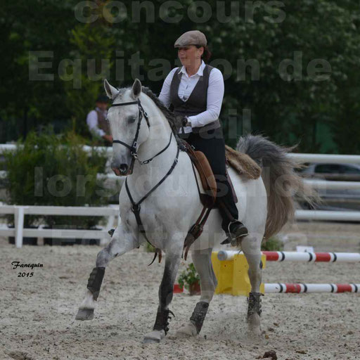 Salon Equitaine de Bordeaux 2015 - Concours d'Equitation de Travail avec chevaux Ibériques - Épreuves de Maniabilités Chronométré - 138