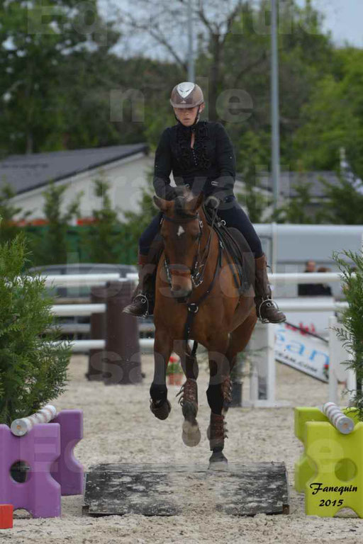 Salon Equitaine de Bordeaux 2015 - Concours d'Equitation de Travail avec chevaux Ibériques - Épreuves de Maniabilités Chronométré - 050