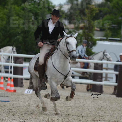Salon Equitaine de Bordeaux 2015 - Concours d'Equitation de Travail avec chevaux Ibériques - Épreuves de Maniabilités Chronométré - 093