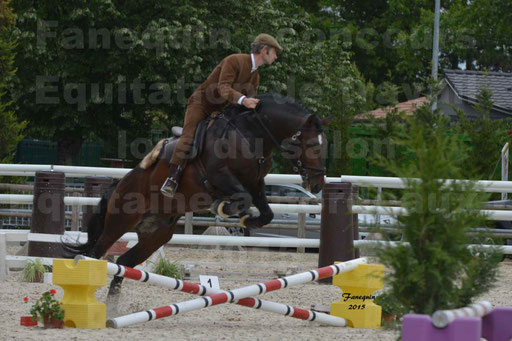 Salon Equitaine de Bordeaux 2015 - Concours d'Equitation de Travail avec chevaux Ibériques - Épreuves de Maniabilités Chronométré - 062