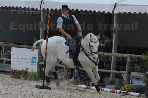 Salon Equitaine de Bordeaux 2015 - Concours d'Equitation de Travail avec chevaux Ibériques - Épreuves de Maniabilités Chronométré - 163