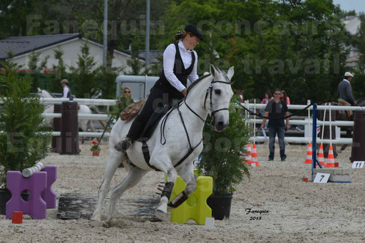 Salon Equitaine de Bordeaux 2015 - Concours d'Equitation de Travail avec chevaux Ibériques - Épreuves de Maniabilités Chronométré - 150