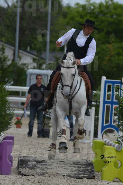 Salon Equitaine de Bordeaux 2015 - Concours d'Equitation de Travail avec chevaux Ibériques - Épreuves de Maniabilités Chronométré - 070
