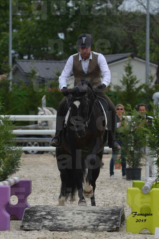 Salon Equitaine de Bordeaux 2015 - Concours d'Equitation de Travail avec chevaux Ibériques - Épreuves de Maniabilités Chronométré - 115