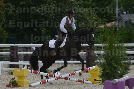 Salon Equitaine de Bordeaux 2015 - Concours d'Equitation de Travail avec chevaux Ibériques - Épreuves de Maniabilités Chronométré - 114