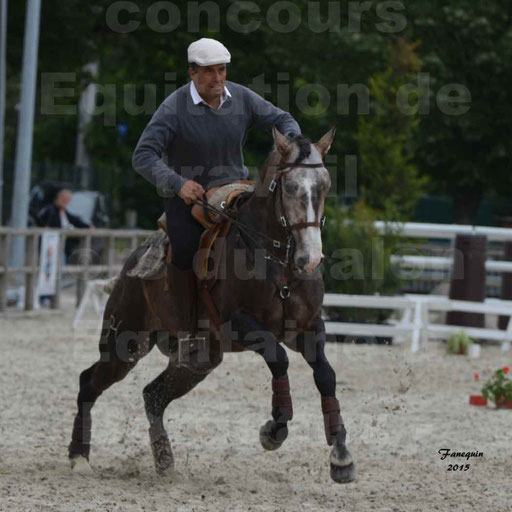 Salon Equitaine de Bordeaux 2015 - Concours d'Equitation de Travail avec chevaux Ibériques - Épreuves de Maniabilités Chronométré - 077